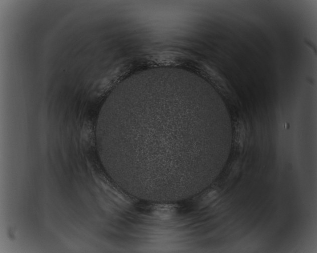 X0000101420465200807141158