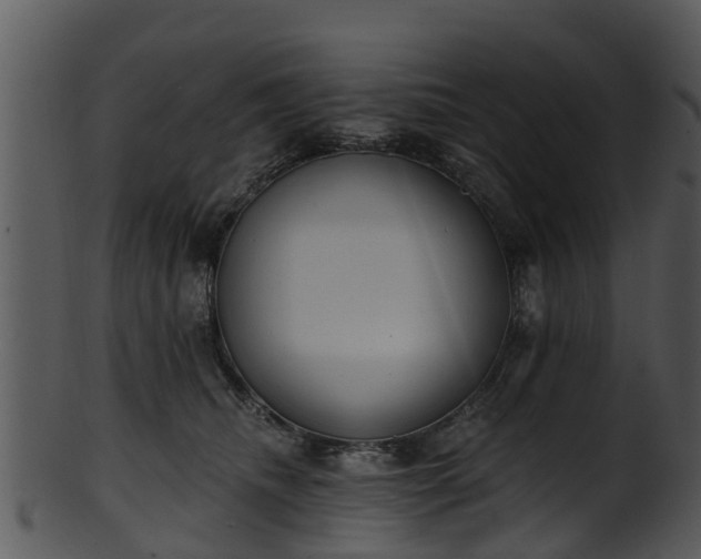 X0000101420468200807141158