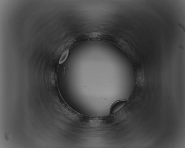 X0000101420470200807141158