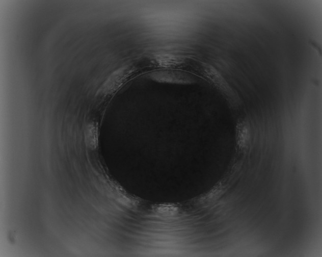 X0000101420471200807141158