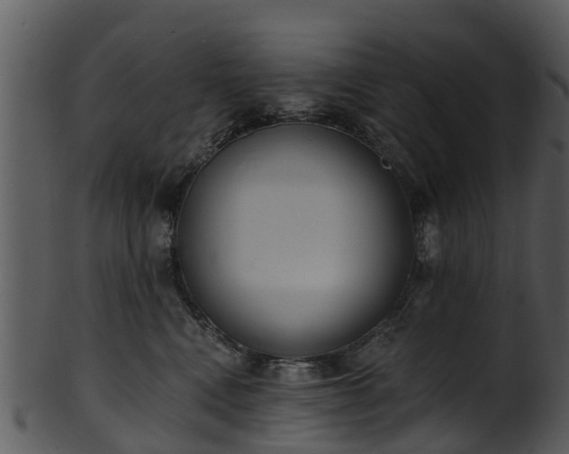 X0000101420472200807141158