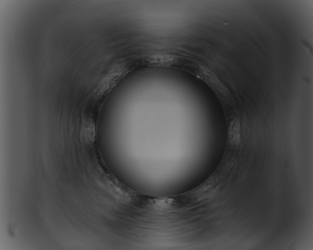 X0000101420474200807141158