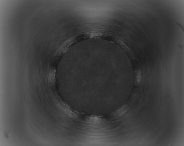 X0000101420475200807141158