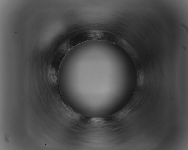 X0000101420477200807141158