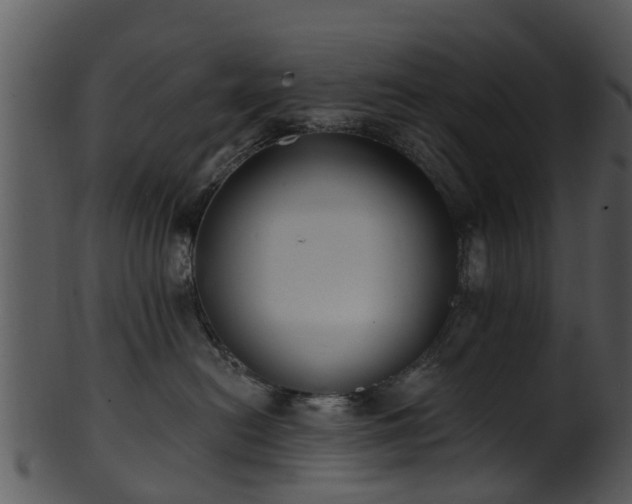 X0000101420478200807141158