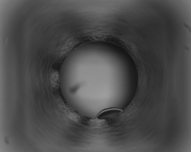 X0000101420480200807141158