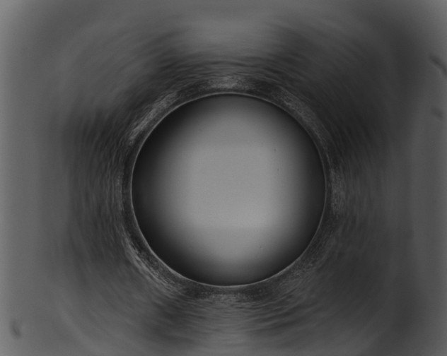 X0000101420482200807141158