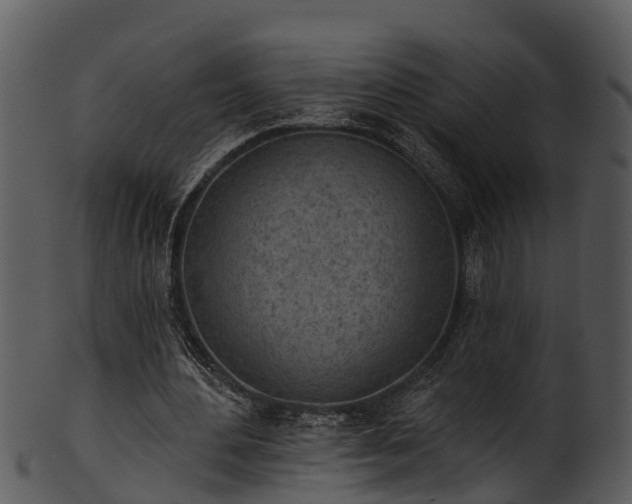 X0000101420484200807141158