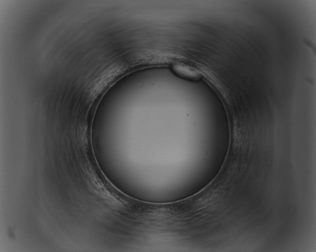 X0000101420485200807141158