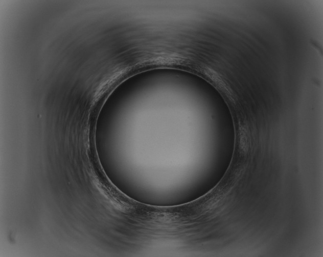 X0000101420486200807141158