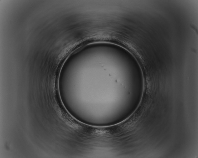 X0000101420487200807141157