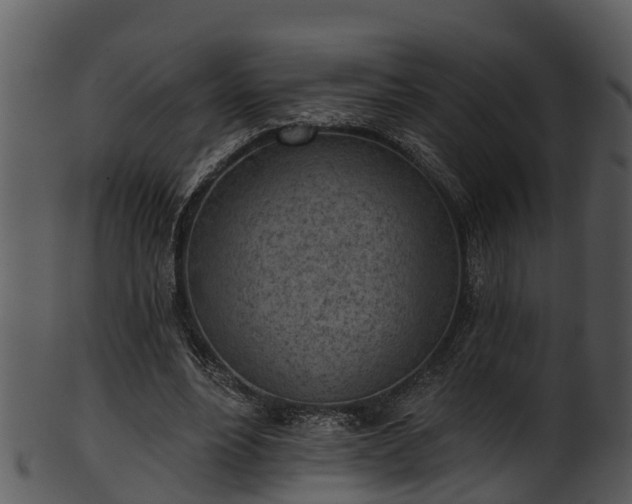 X0000101420488200807141157