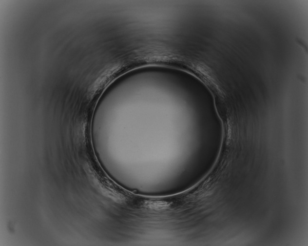 X0000101420491200807141157