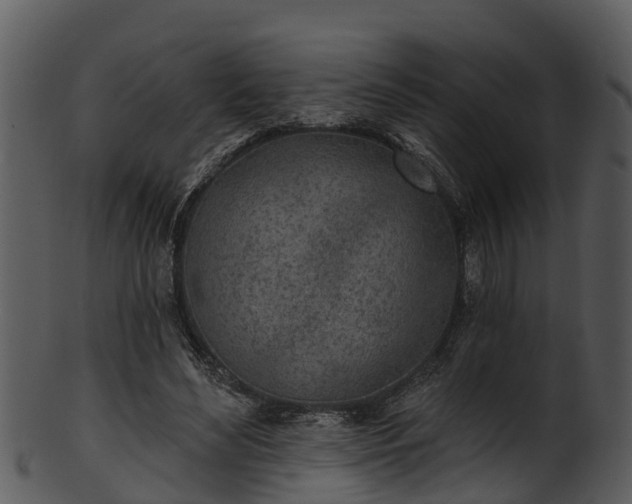X0000101420492200807141157