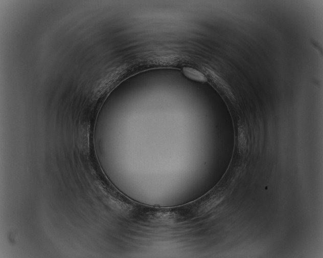 X0000101420493200807141157