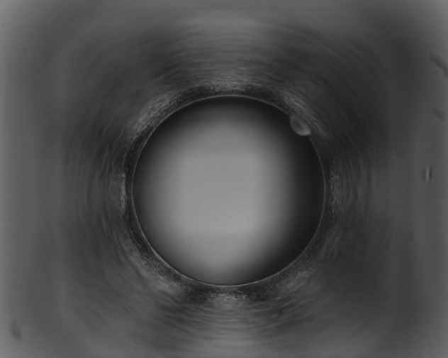 X0000101420494200807141157