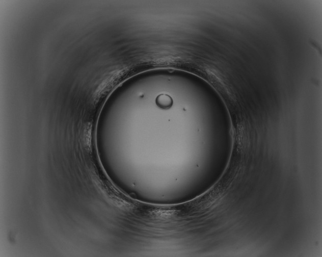 X0000101420495200807141157