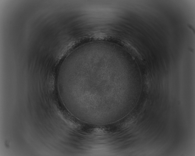X0000101420496200807141157