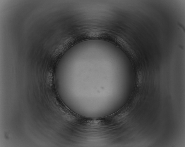 X0000101420497200807141157