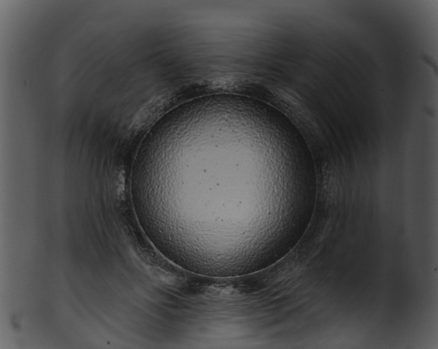 X0000101420502200807141157