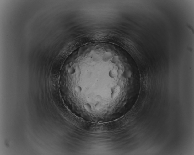 X0000101420503200807141157