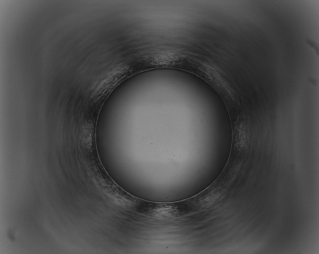 X0000101420505200807141157