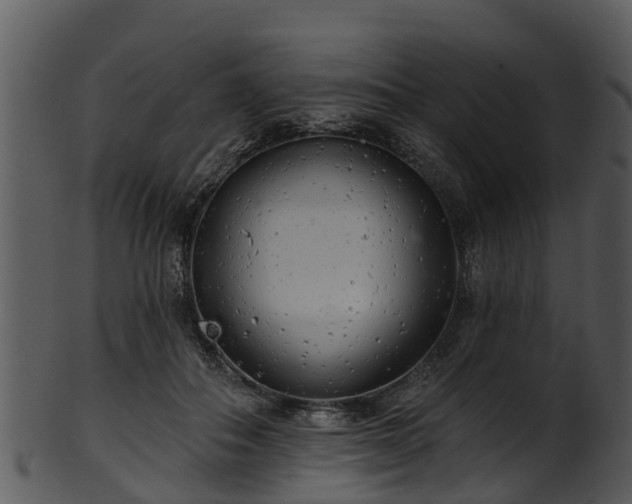 X0000101420506200807141157