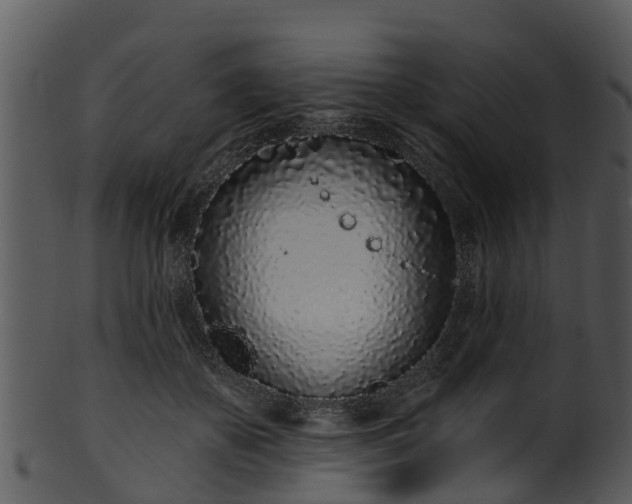 X0000101420507200807141157