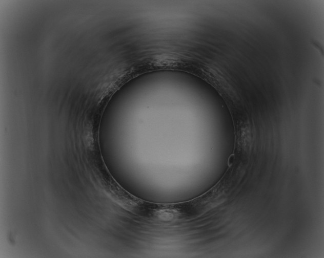 X0000101420508200807141157