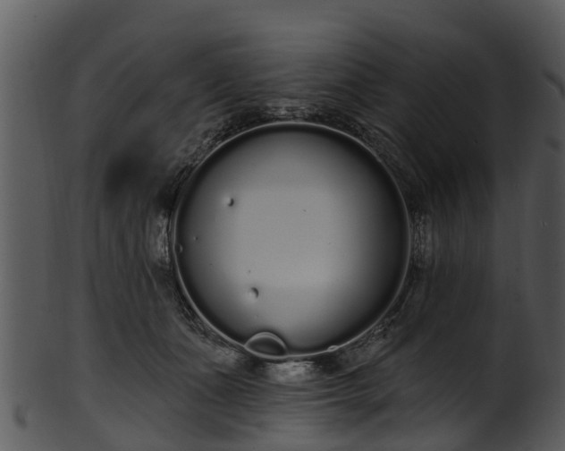 X0000101420511200807141157