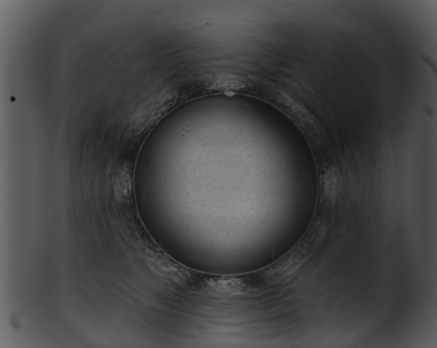X0000101420517200807141157