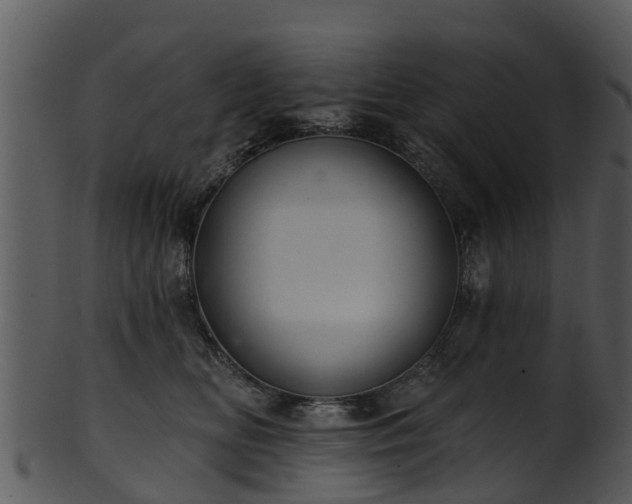 X0000101420518200807141157