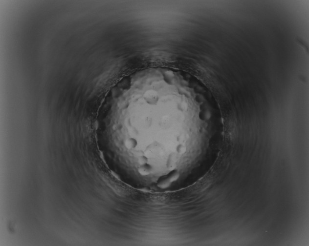 X0000101420519200807141157