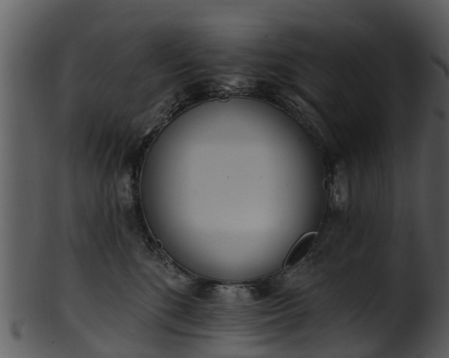 X0000101420520200807141157
