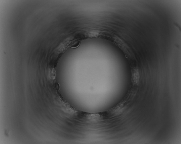 X0000101420525200807141157
