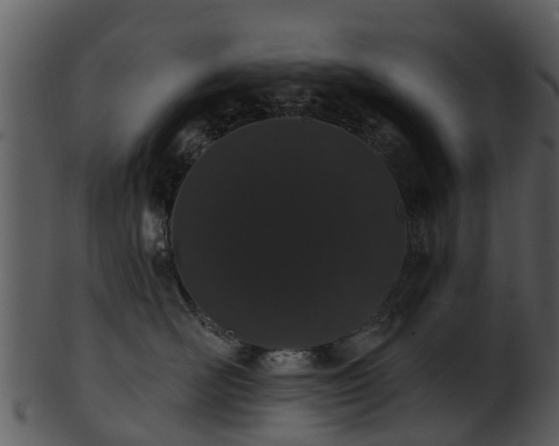 X0000101420526200807141157