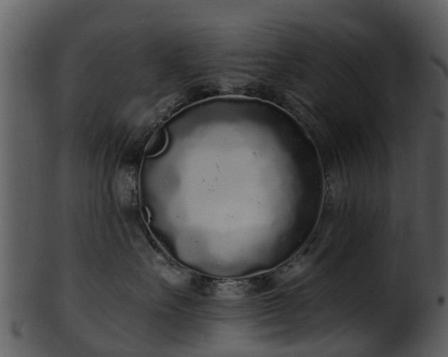 X0000101420527200807141157