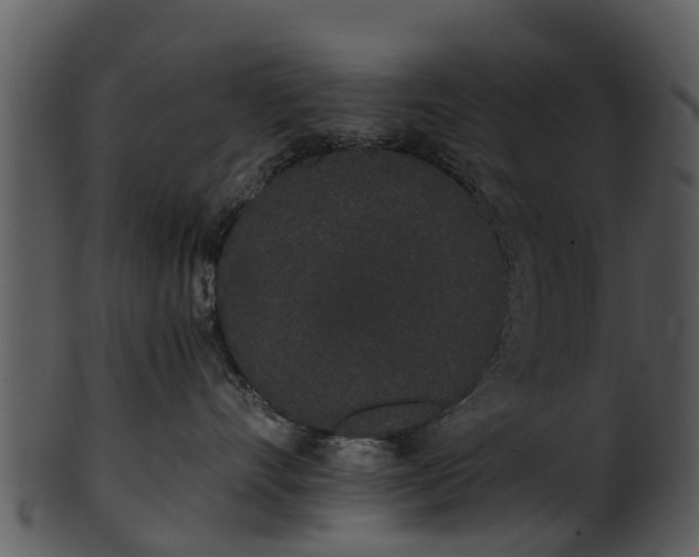 X0000101420528200807141157