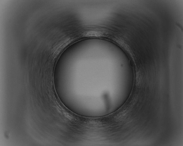 X0000101420529200807141156