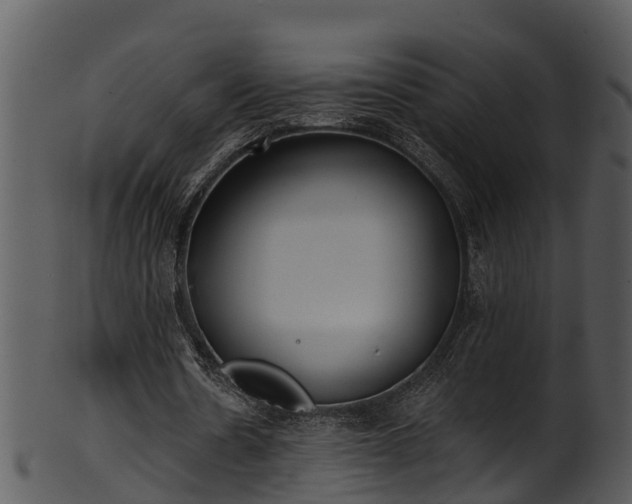 X0000101420530200807141156