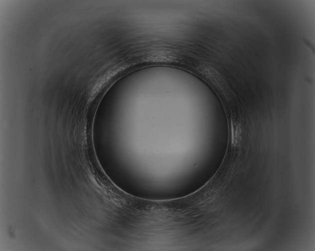 X0000101420531200807141156