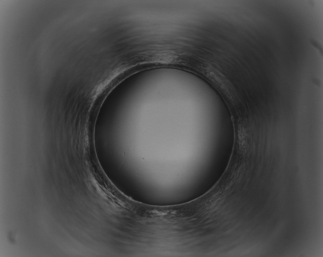 X0000101420532200807141156