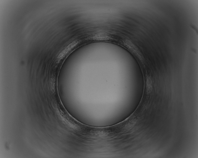 X0000101420533200807141156
