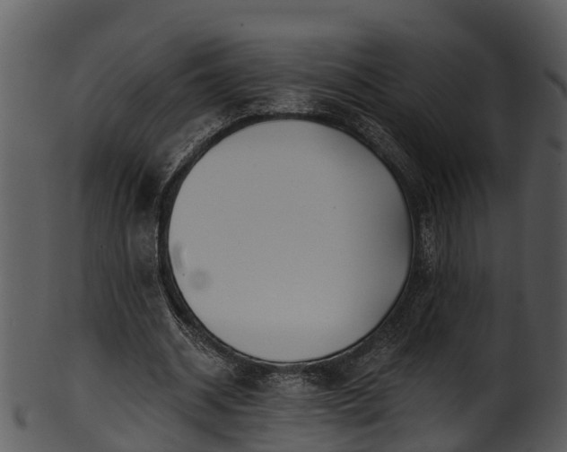 X0000101420534200807141156