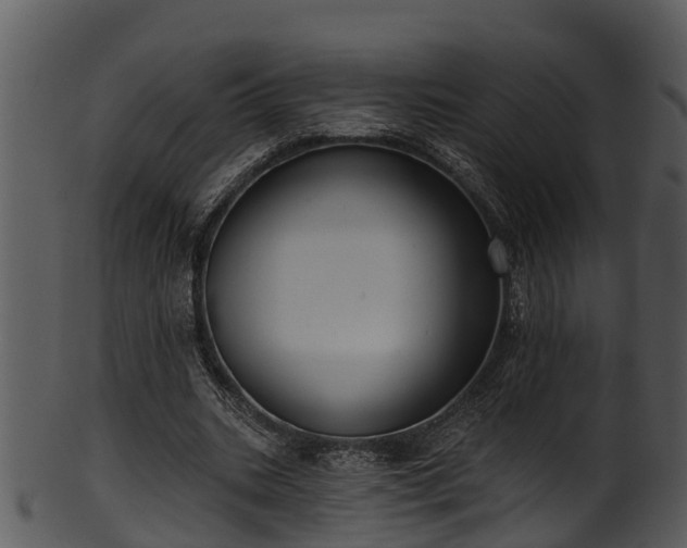 X0000101420535200807141156
