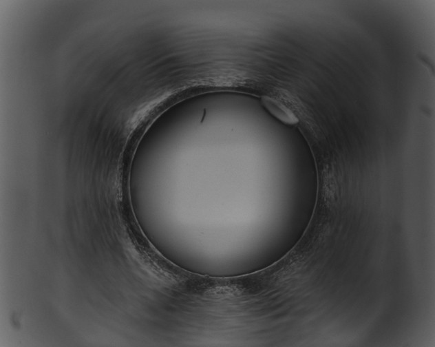 X0000101420536200807141156