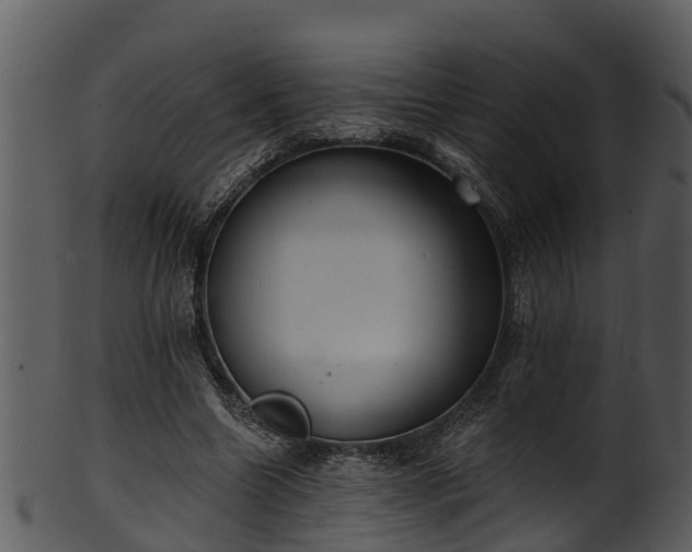 X0000101420538200807141156