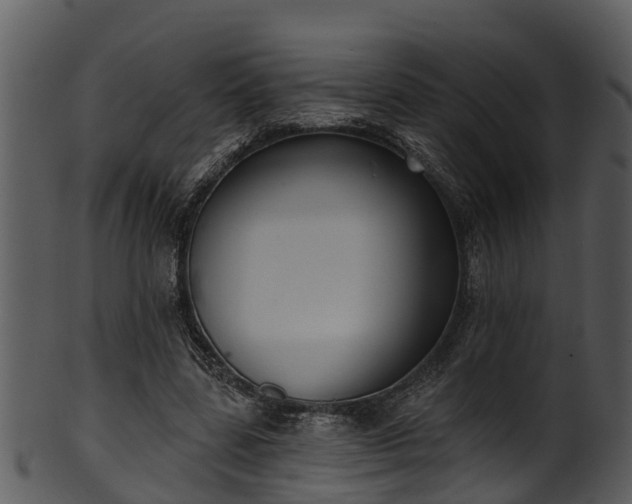 X0000101420539200807141156