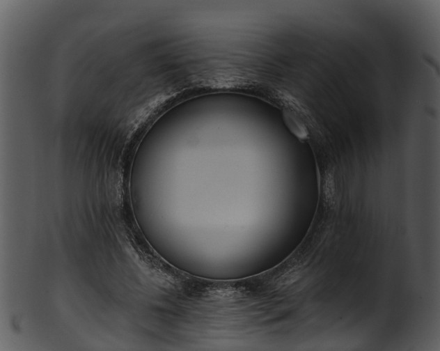 X0000101420540200807141156