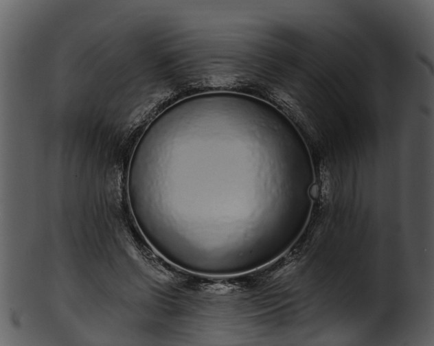 X0000101420542200807141156